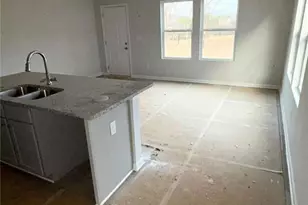 11600 E Lovejoy Road E, Hampton, GA 30228 - Photo 9