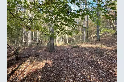1806 Browning Road, Rockmart, GA 30153 - Photo 69