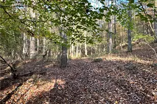 1806 Browning Rd, Rockmart, GA 30153 - Photo 69