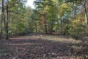 1806 Browning Rd, Rockmart, GA 30153 - Photo 55