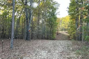 1806 Browning Rd, Rockmart, GA 30153 - Photo 77