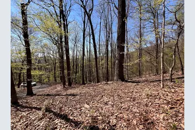 4546 Sassafras Court, Jasper, GA 30143 - Photo 11
