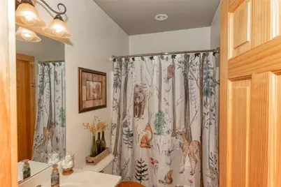 925 Zeppelin Strasse, Helen, GA 30545 - Photo 25