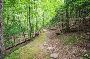 341 Valley View Rd, Ellijay, GA 30536 - Photo 43