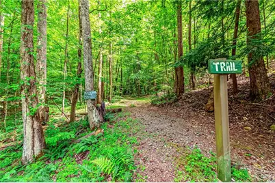 341 Valley View Road, Ellijay, GA 30536 - Photo 69