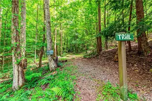 341 Valley View Rd, Ellijay, GA 30536 - Photo 69