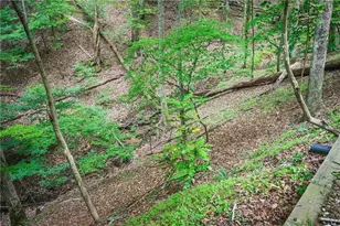 341 Valley View Rd, Ellijay, GA 30536 - Photo 45
