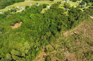 63 Pace Rd, Toccoa, GA 30577 - Photo 49
