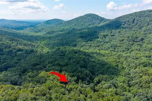 51 Trout Lily Trail, Big Canoe, GA 30143 - Photo 3