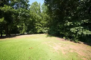 209 Hiram Way, Hiram, GA 30141 - Photo 51