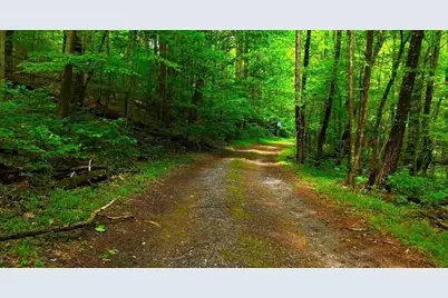 0 Nocona Trail, Ellijay, GA 30536 - Photo 7