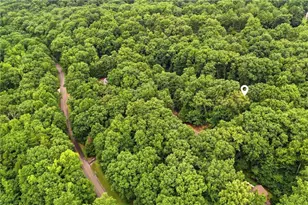 758 Mayapple Glen, Dawsonville, GA 30534 - Photo 97