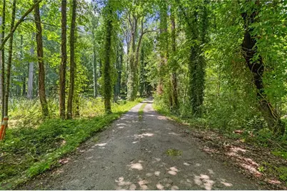 10861 Hutcheson Ferry Road, Chattahoochee Hills, GA 30268 - Photo 9