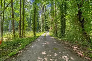10861 Hutcheson Ferry Rd, Chattahoochee Hills, GA 30268 - Photo 9