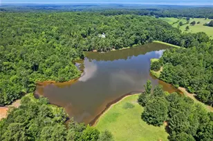 10861 Hutcheson Ferry Rd, Chattahoochee Hills, GA 30268 - Photo 5