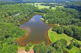 10861 Hutcheson Ferry Rd, Chattahoochee Hills, GA 30268 - Photo 7