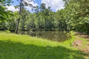 10861 Hutcheson Ferry Rd, Chattahoochee Hills, GA 30268 - Photo 15