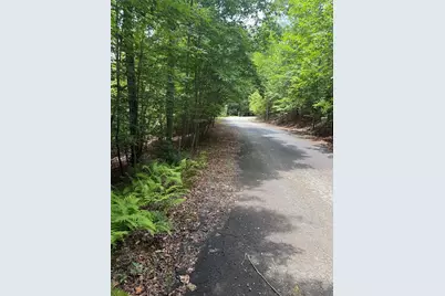 13 Pinnacle Court, Blairsville, GA 30512 - Photo 11