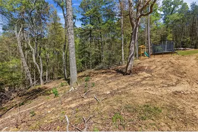 1655 Pardue Mill Road, Demorest, GA 30535 - Photo 49