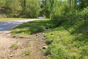 1655 Pardue Mill Rd, Demorest, GA 30535 - Photo 63