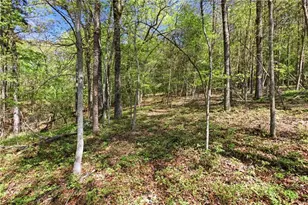1655 Pardue Mill Rd, Demorest, GA 30535 - Photo 55