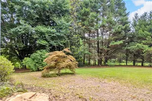 4389 Center Hill Church Rd, Loganville, GA 30052 - Photo 47