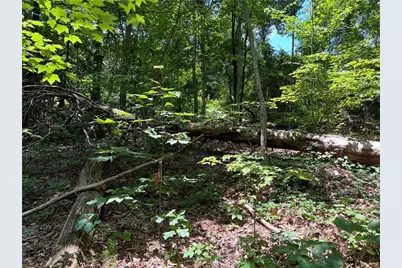 0 Lavender Trail, Rome, GA 30165 - Photo 25