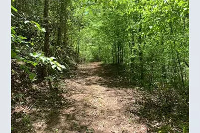 0 Fireside River Trace West, Dahlonega, GA 30533 - Photo 7