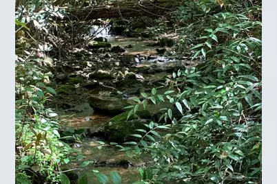 0 Fireside River Trace West, Dahlonega, GA 30533 - Photo 3