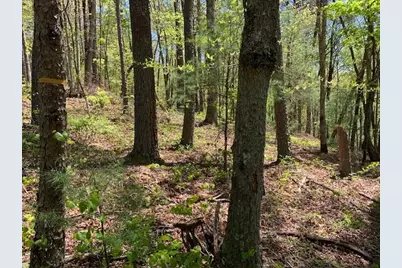 0 Fireside River Trace West, Dahlonega, GA 30533 - Photo 13