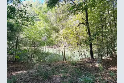 0 Towaliga South Road, Jackson, GA 30233 - Photo 3
