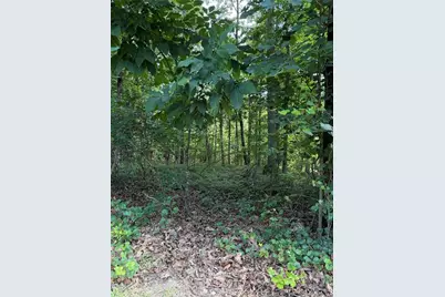 3355 Lakeview Parkway, Villa Rica, GA 30180 - Photo 3
