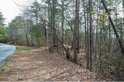00 Red Top Mountain Road, Cartersville, GA 30121 - Photo 9