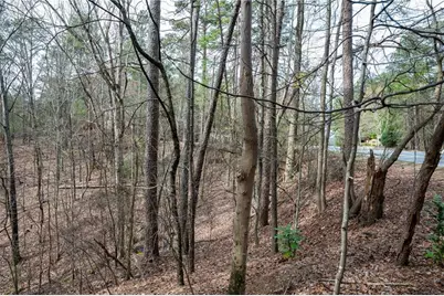 00 Red Top Mountain Road, Cartersville, GA 30121 - Photo 15