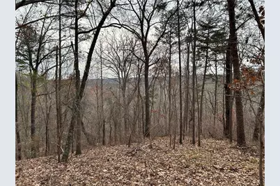 0 Hwy 105, Baldwin, GA 30511 - Photo 33
