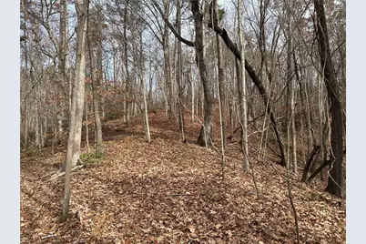 0 Hwy 105, Baldwin, GA 30511 - Photo 25