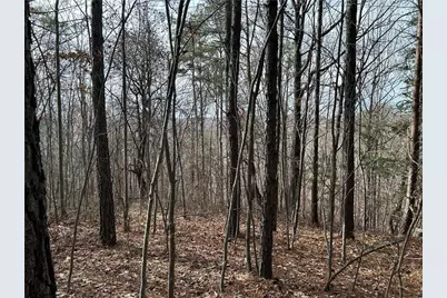 0 Hwy 105, Baldwin, GA 30511 - Photo 5