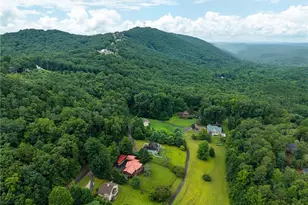 131 Talona Lake Terrace, Ellijay, GA 30536 - Photo 7