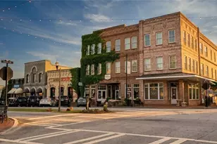 124 Morgan St, Senoia, GA 30276 - Photo 29