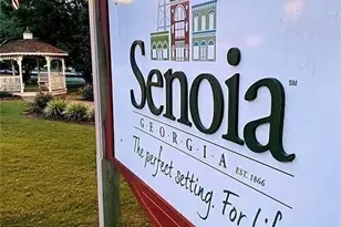 124 Morgan St, Senoia, GA 30276 - Photo 19