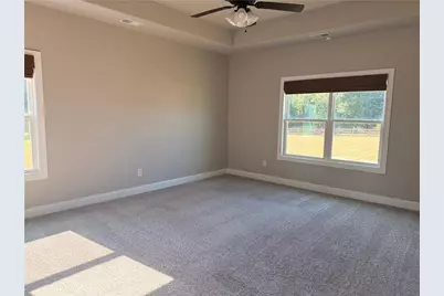 46 Will Banks Road, Senoia, GA 30276 - Photo 11