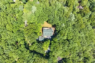 257 Interlochen Ct, Sautee Nacoochee, GA 30571 - Photo 65
