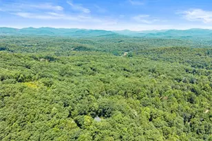 257 Interlochen Ct, Sautee Nacoochee, GA 30571 - Photo 75