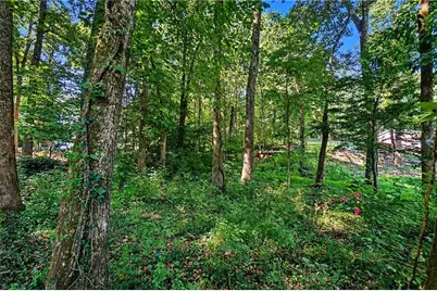 5211 Union Hill Road, Alpharetta, GA 30004 - Photo 3