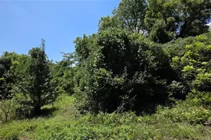 736 Peachtree St, Macon, GA 31217 - Photo 5