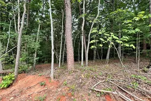 320 E Ridge Ln, Ellijay, GA 30536 - Photo 23