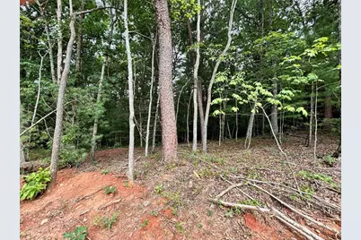 320 East Ridge Ln, Ellijay, GA 30536 - Photo 23