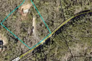 320 E Ridge Ln, Ellijay, GA 30536 - Photo 21