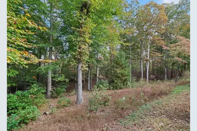 000 Ammons Drive, Waleska, GA 30183 - Photo 3