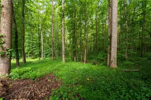 [Address not provided], Ball Ground, GA 30107 - Photo 43